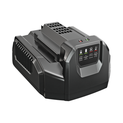 EGO 56V CHARGER