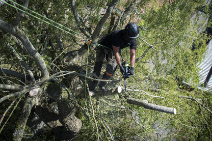 EGO 56V 30CM TOP HANDLE CHAINSAW