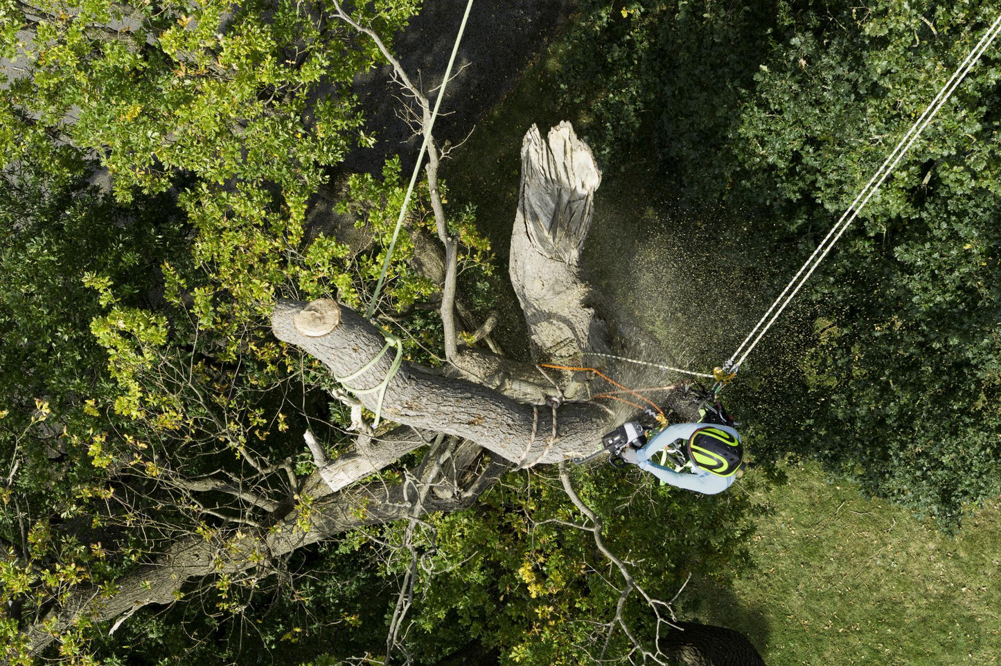 EGO 56V TOP-HANDLE CHAIN SAW