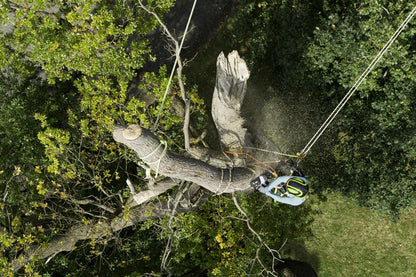 EGO 56V TOP-HANDLE CHAIN SAW