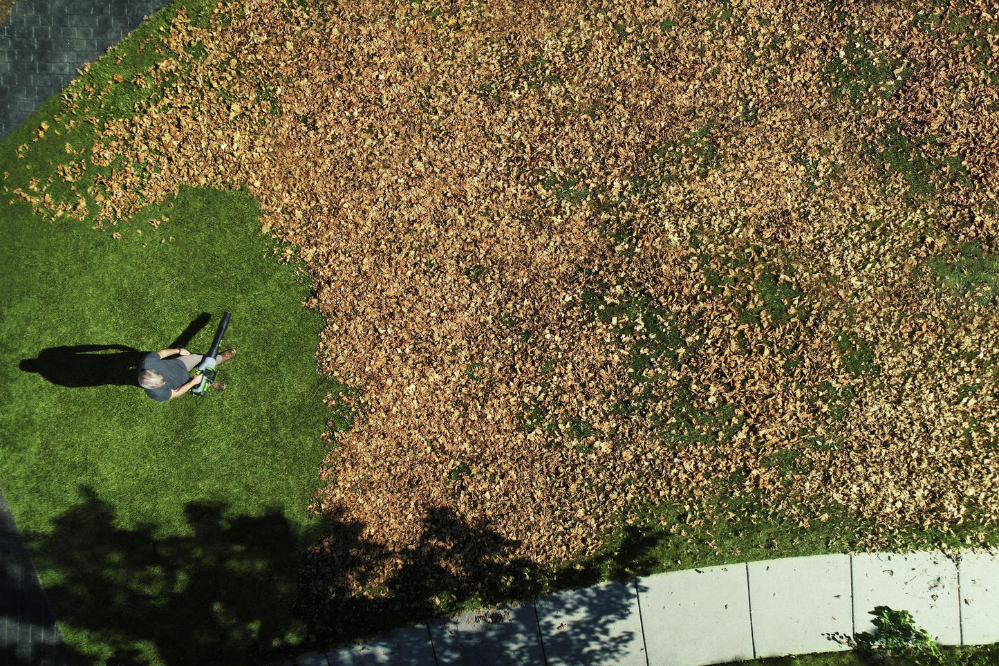 EGO 56V 1300M³/H BLOWER