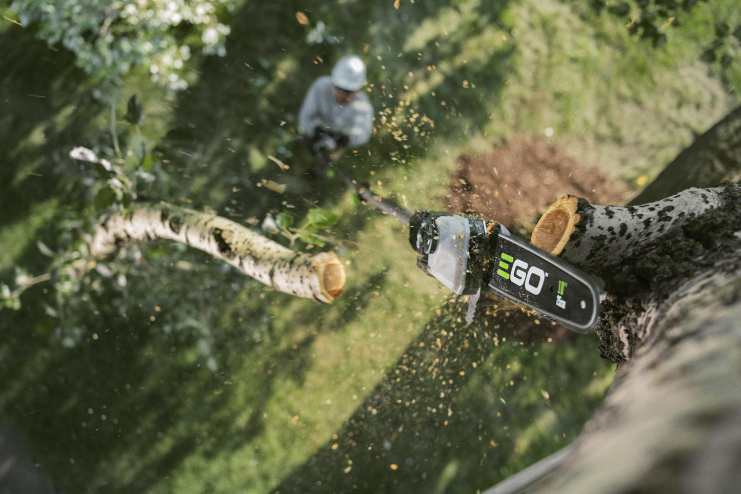 EGO 56V PRO X 25CM POLE SAW