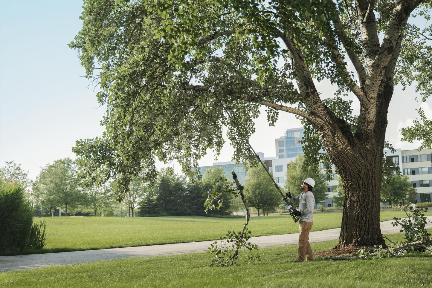 EGO 56V PRO X 25CM POLE SAW