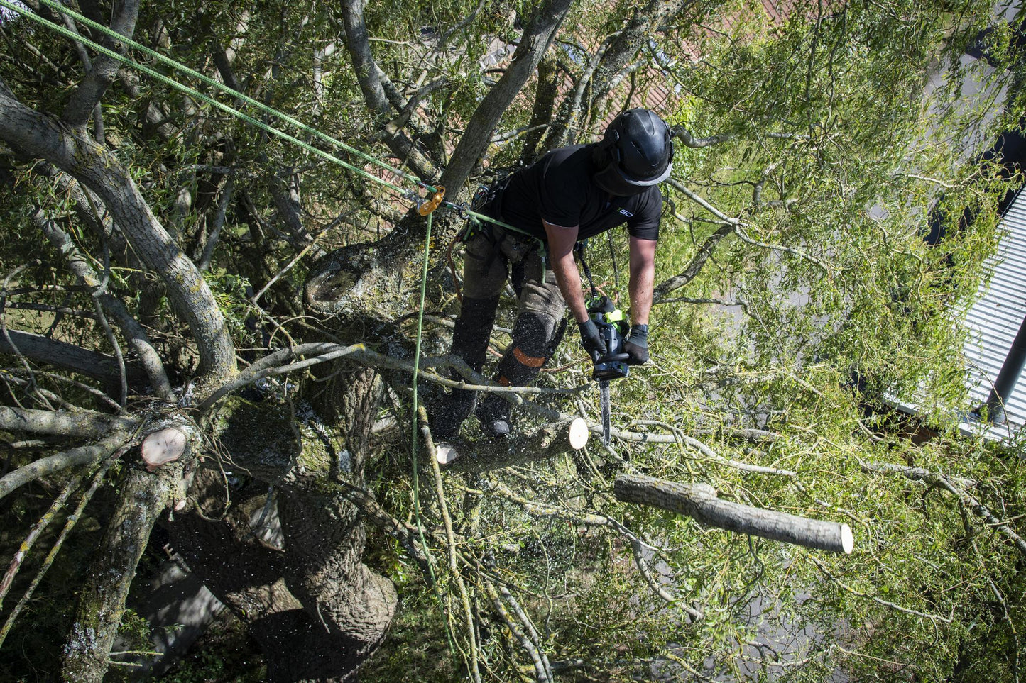 EGO 56V 30CM TOP HANDLE CHAINSAW